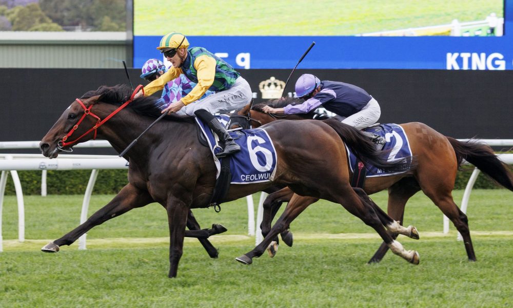 为尽量减少 为尽量减少